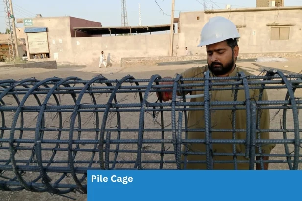 Pile cage